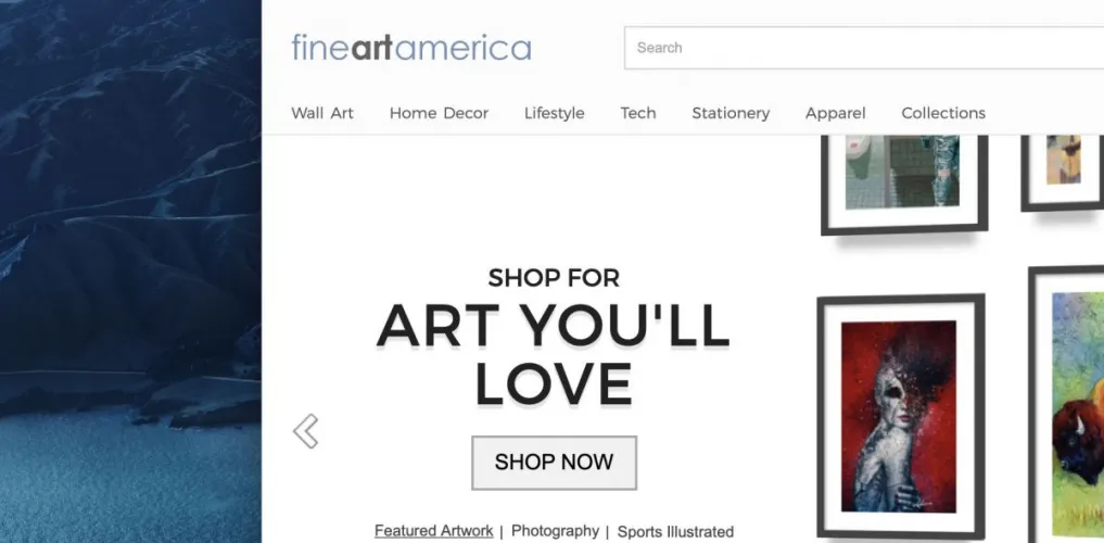 Fine Art America